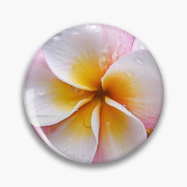 Item preview, "Dream Palette: The White, Orange and Pink Franjipani Flower designed and sold by franck380.