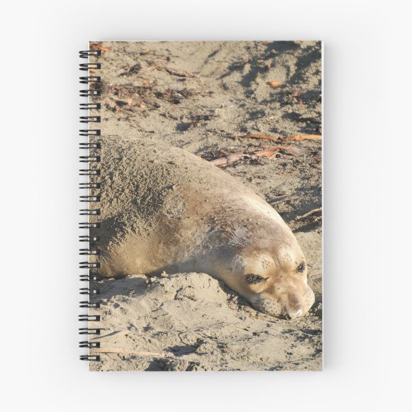 Item preview, Elephant seal designed and sold by AlizadaStudios.