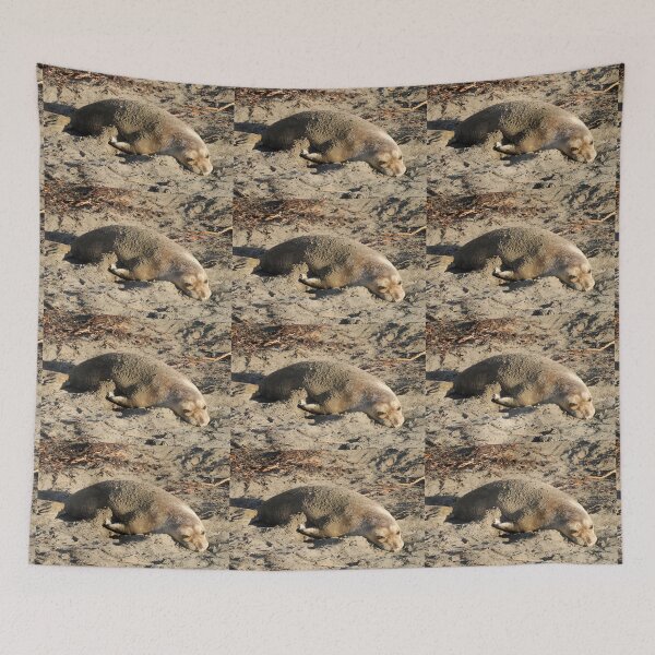 Item preview, Elephant seal designed and sold by AlizadaStudios.
