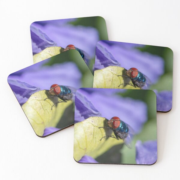 Item preview, Blue Bottle Fly 2 designed and sold by Jacquiamber.