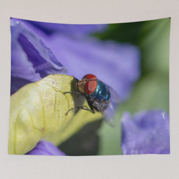 Item preview, Blue Bottle Fly 2 designed and sold by Jacquiamber.