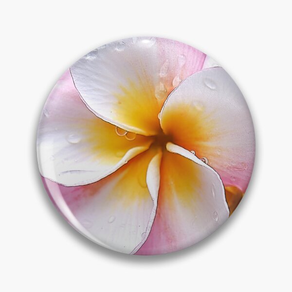 Item preview, Dream Palette: The White, Orange and Pink Franjipani Flower designed and sold by franck380.
