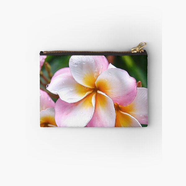 Item preview, Dream Palette: The White, Orange and Pink Franjipani Flower designed and sold by franck380.