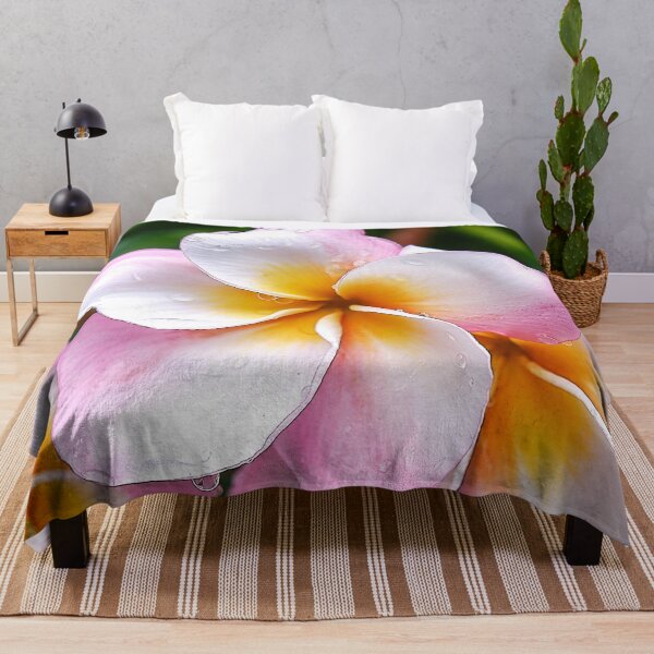 Item preview, Dream Palette: The White, Orange and Pink Franjipani Flower designed and sold by franck380.