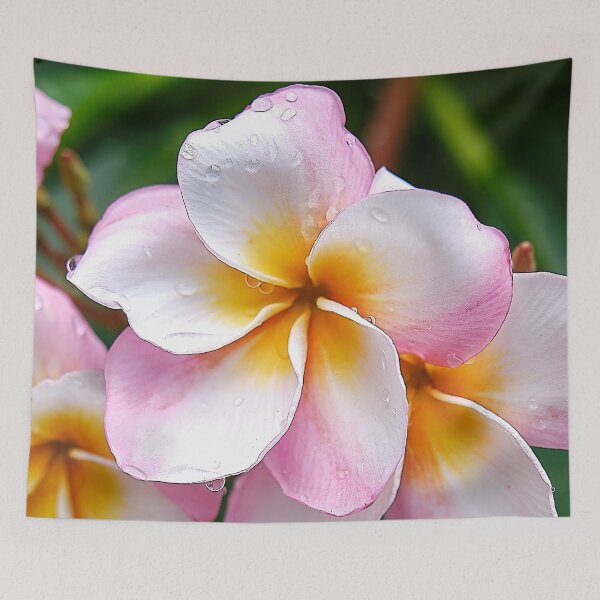 Item preview, Dream Palette: The White, Orange and Pink Franjipani Flower designed and sold by franck380.