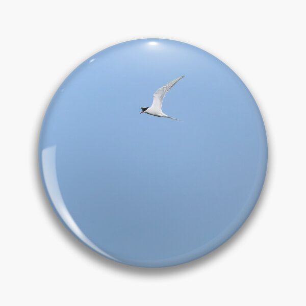 Item preview, Common tern blues designed and sold by Jouko Lehto Photography.