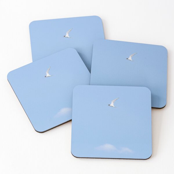 Item preview, Common tern blues designed and sold by Jouko Lehto Photography.