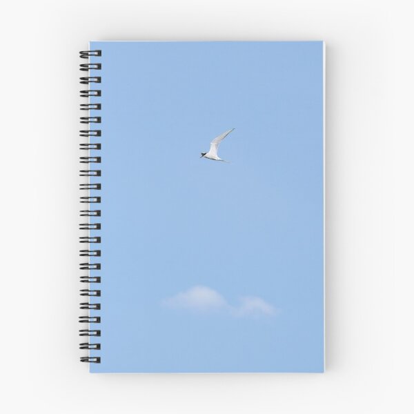 Item preview, Common tern blues designed and sold by Jouko Lehto Photography.