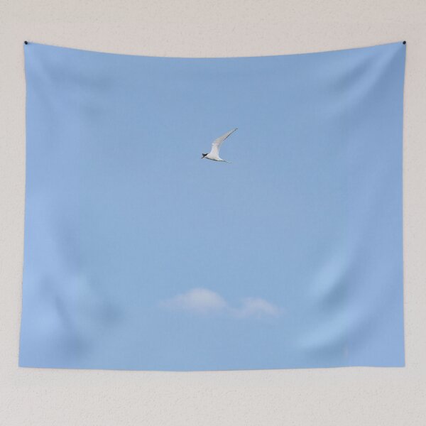 Item preview, Common tern blues designed and sold by Jouko Lehto Photography.