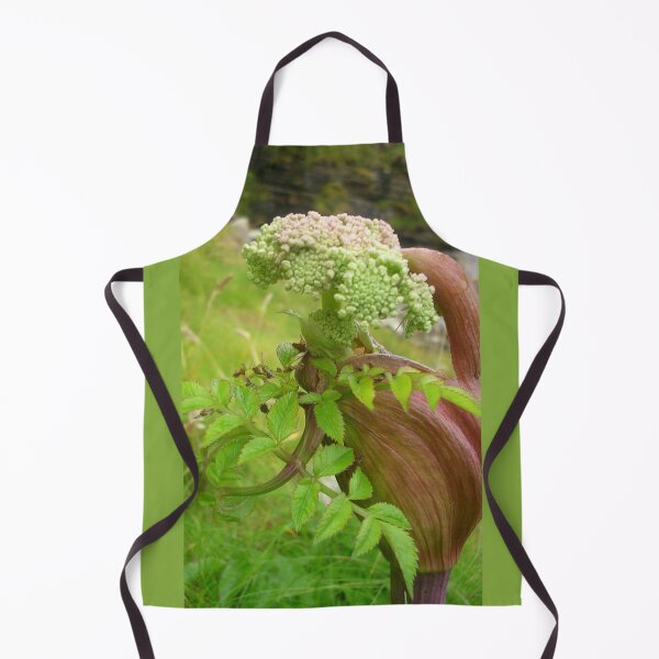 Item preview, Wild Angelica On Mull Head, Orkney designed and sold by lezvee.