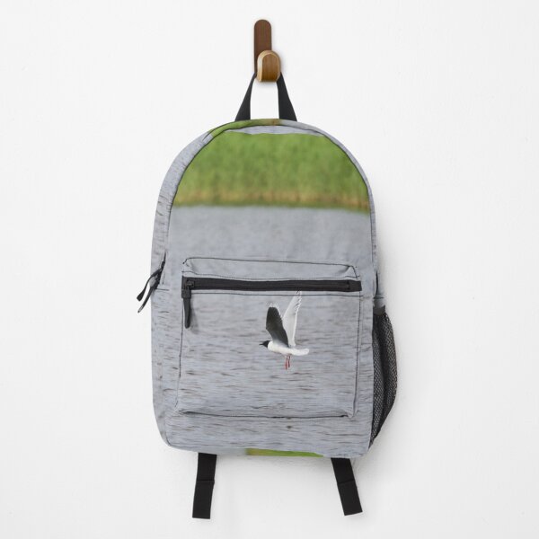 Item preview, Little gull minimal designed and sold by Jouko Lehto Photography.