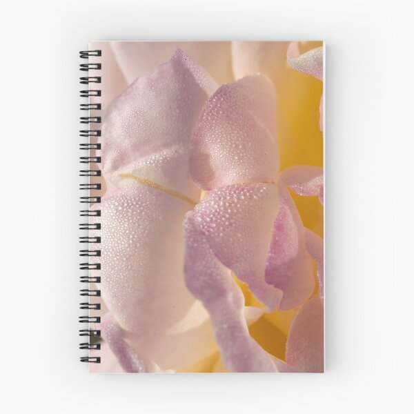 Item preview, Dewy Rose designed and sold by Jacquiamber.