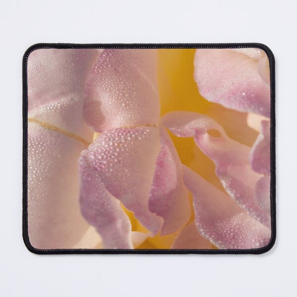 Item preview, Dewy Rose designed and sold by Jacquiamber.