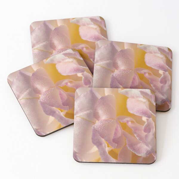 Item preview, Dewy Rose designed and sold by Jacquiamber.