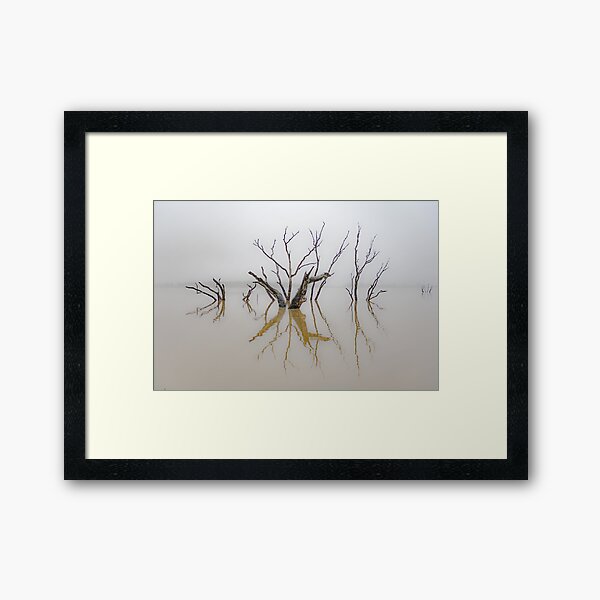 Misty Morning - Taylors Lake No1 Framed Art Print