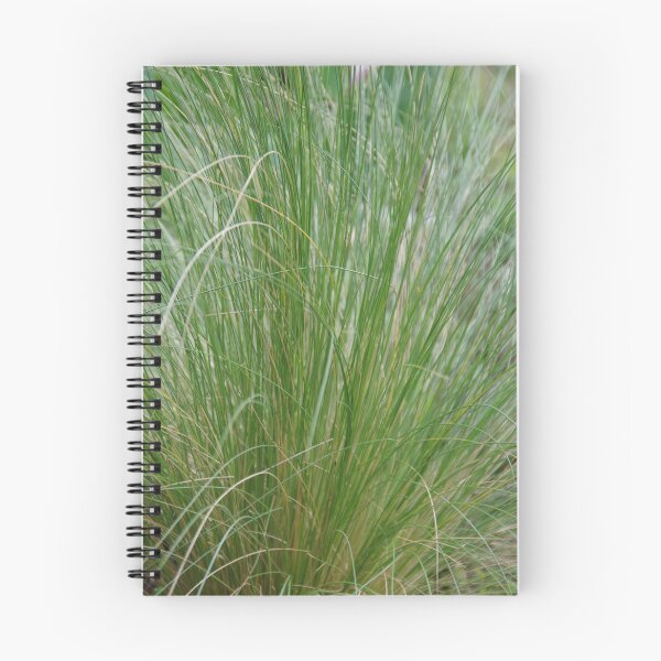 Item preview, Ornamental Grass designed and sold by lezvee.