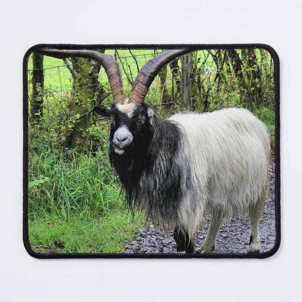 Item preview, wild goat designed and sold by KathleenDawson.