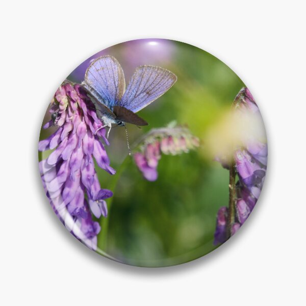 Item preview, Mazarine blue on tufted vetch designed and sold by Jouko Lehto Photography.