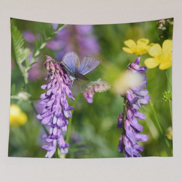 Item preview, Mazarine blue on tufted vetch designed and sold by Jouko Lehto Photography.
