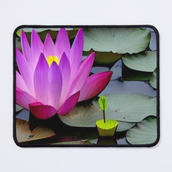Item preview, Pink Lotus  designed and sold by KanvasGifts.