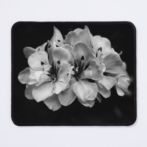 Item preview, Black and white Flower Art designed and sold by AliceWhiteDF.