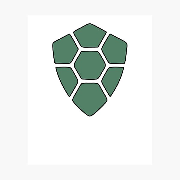 Turtlecoin Photographic Print