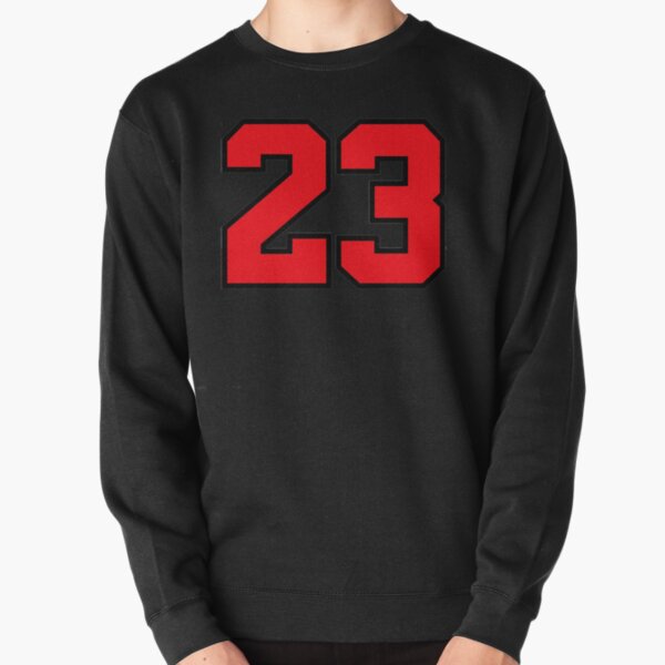 Jordan hot sale 23 sweater