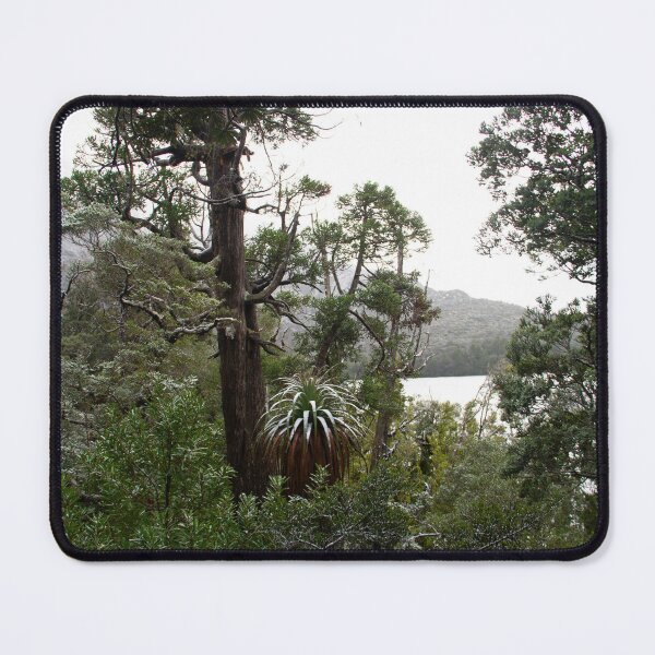 Item preview, Pencil Pine Forest designed and sold by Philip Alexander.