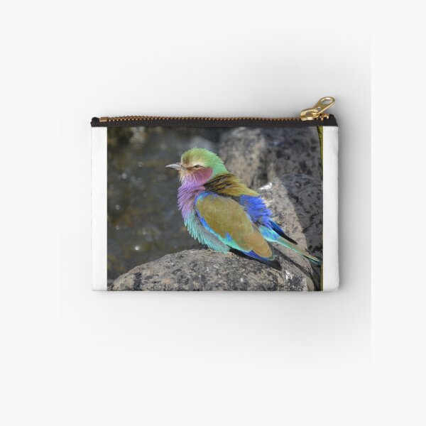 Item preview, Lilac breated Roller in sunshine designed and sold by Dorothy Thomson.