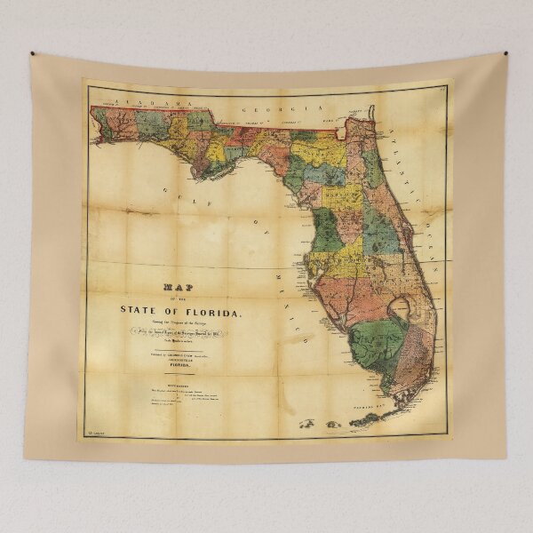 Item preview, Map of the State of Florida (1856) designed and sold by allhistory.