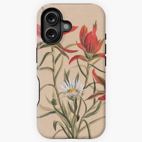 Vintage Indian Paintbrush and Daisy Painting | P295 iPhone Tough Case