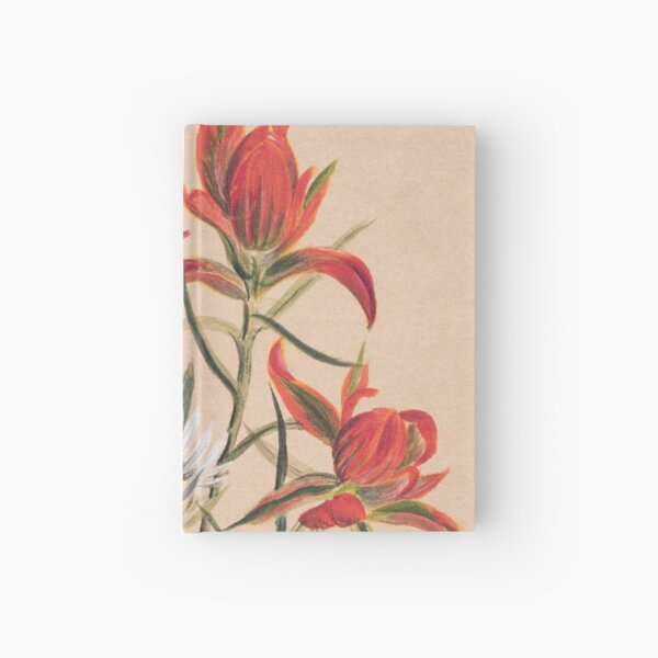 Vintage Indian Paintbrush and Daisy Painting | P295 Hardcover Journal