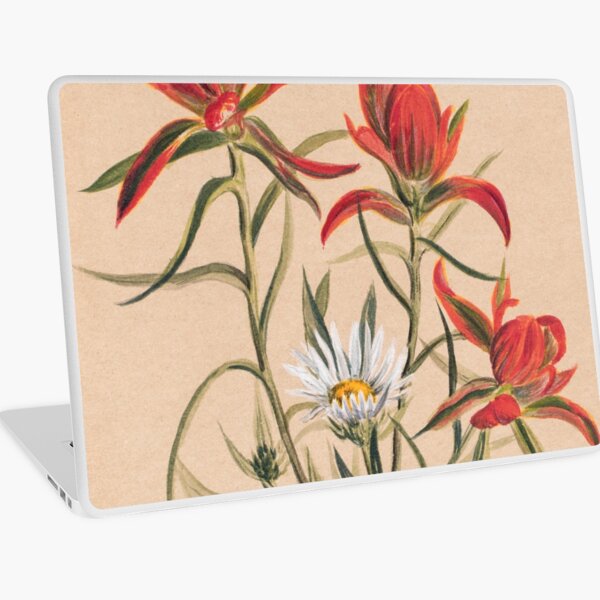 Vintage Indian Paintbrush and Daisy Painting | P295 Laptop Skin