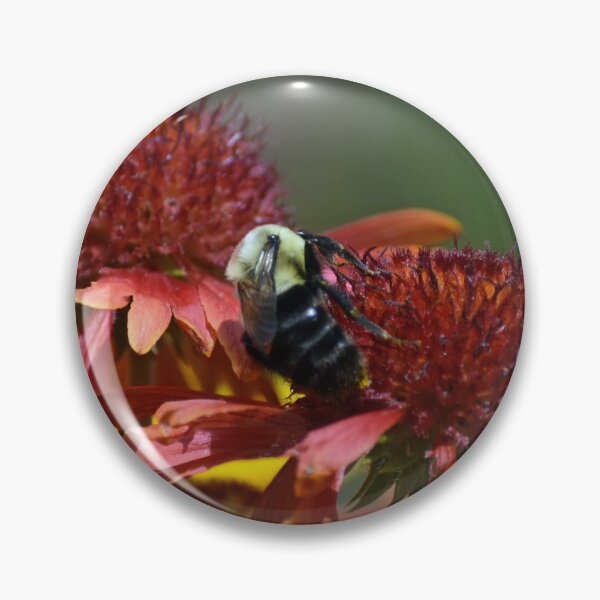Item preview, Bee in Flower designed and sold by bertsworks300.