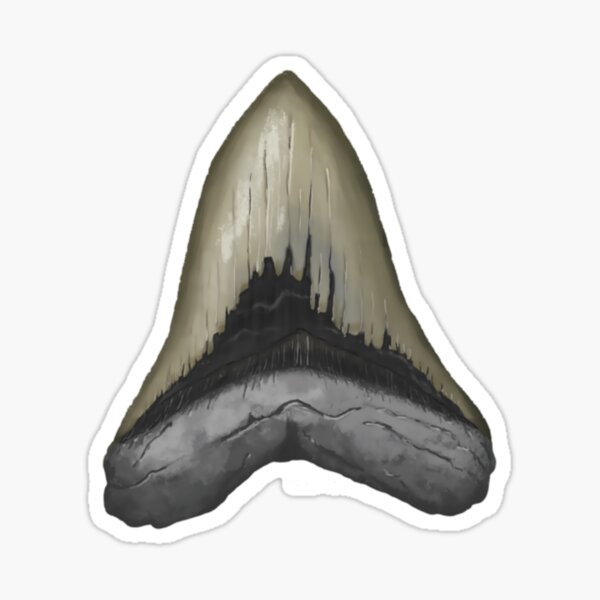 Item preview, Megalodon Tooth 	 	 designed and sold by pcueblpky9.