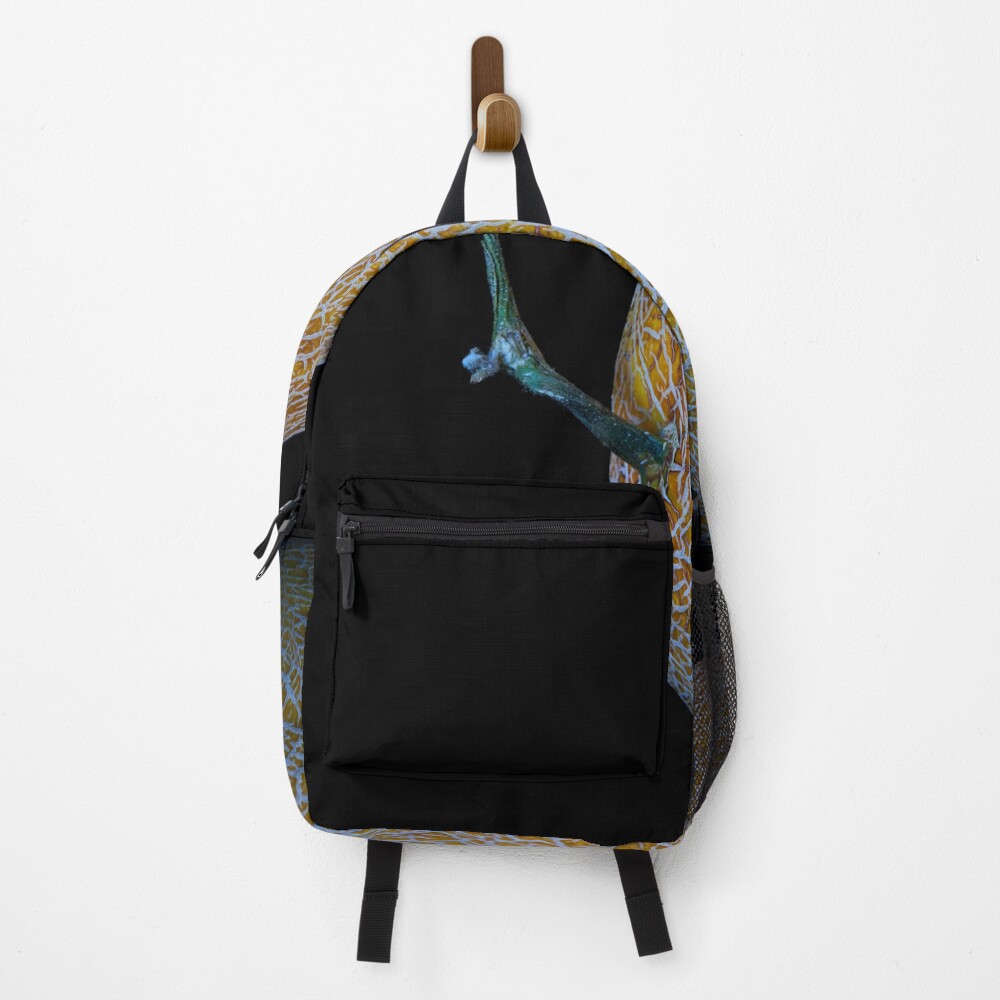 Item preview, Backpack designed and sold by IgorKovalenko.