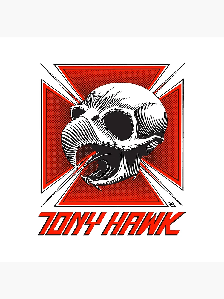 Tony Hawk's Downhill Jam Concept art 1 : r/TonyHawksDownhillJam