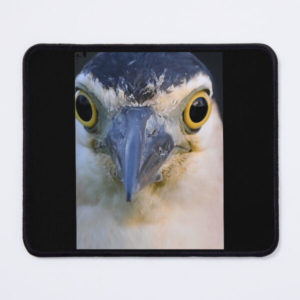 Item preview, Nankeen Night Heron a Coffee designed and sold by slvxuodh61.