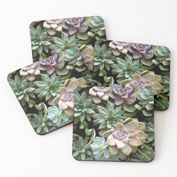 Item preview, Succulent plants designed and sold by lghtwrkr.