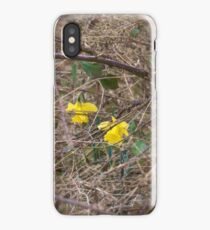 Blooming in a tough environment iPhone Case