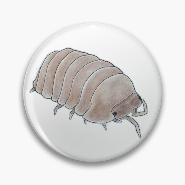 Item preview, Cubaris sp. Borneo designed and sold by Postablepods.
