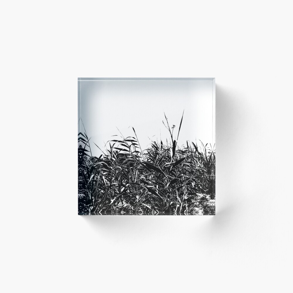 Vista previa del artículo con la obra «Bloque acrílico», diseñado y vendido por FineContrast.