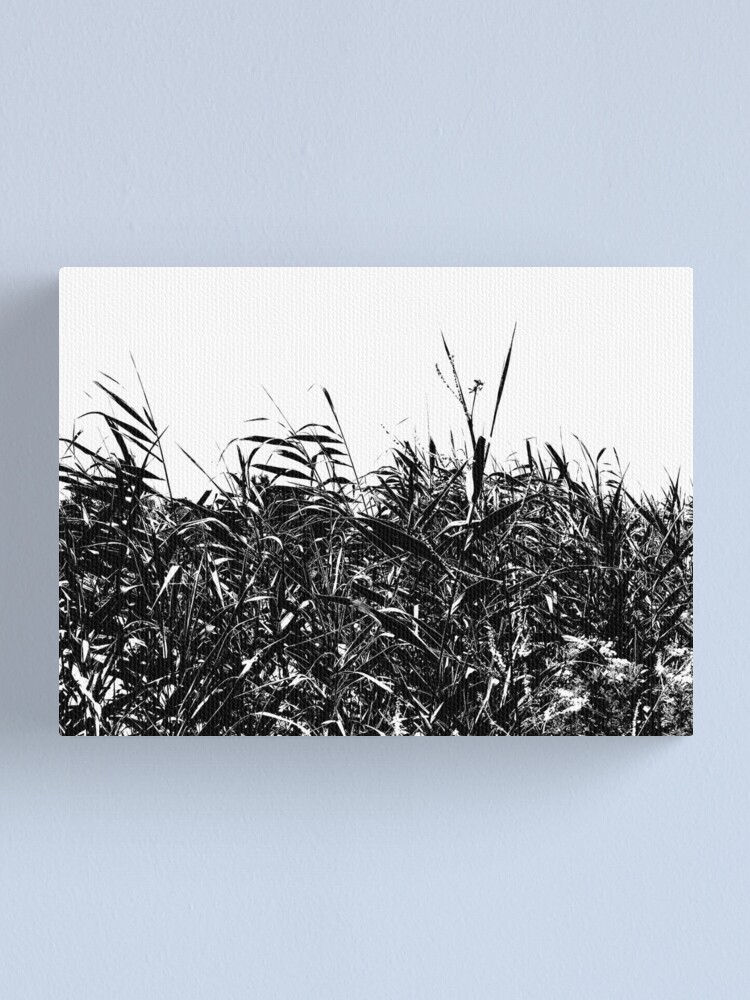 Imagen 1 de 3, Lienzo con la obra , diseñada y vendida por FineContrast.