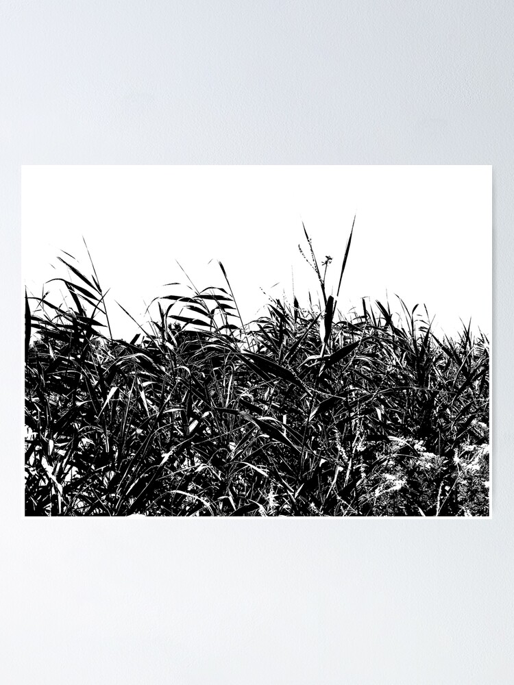 Imagen 1 de 3, Póster con la obra , diseñada y vendida por FineContrast.