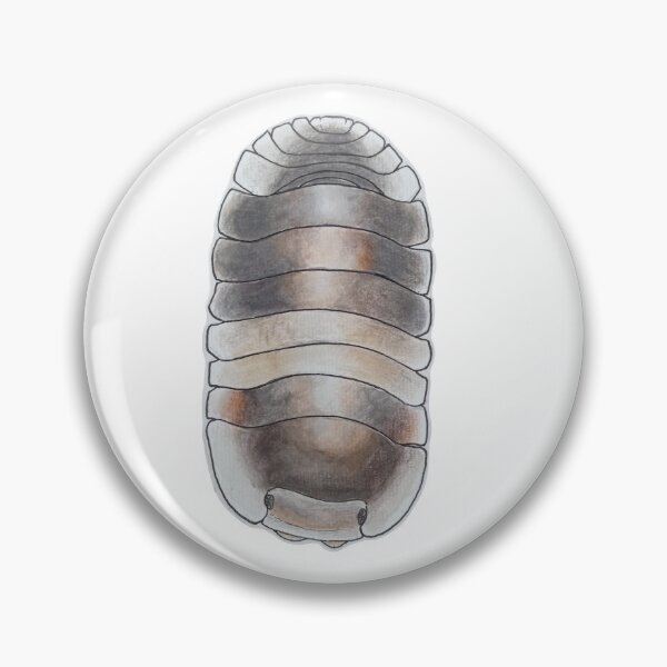 Item preview, Cubaris sp. Cappucino designed and sold by Postablepods.