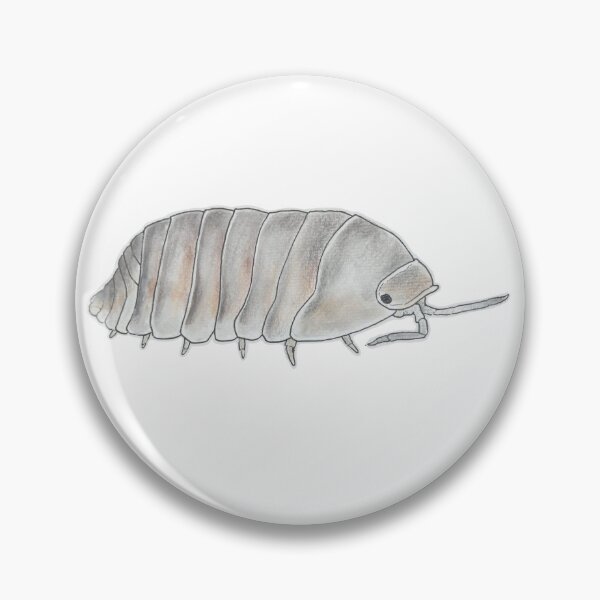 Item preview, Cubaris sp. Caramel designed and sold by Postablepods.
