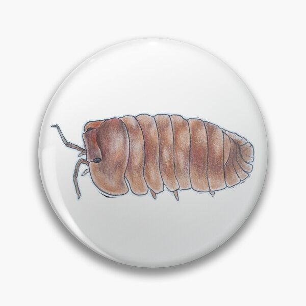 Item preview, Cubaris sp. Dark Red Phipun designed and sold by Postablepods.