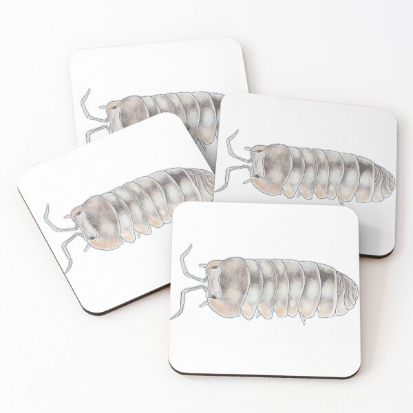 Item preview, Cubaris sp. Dream designed and sold by Postablepods.