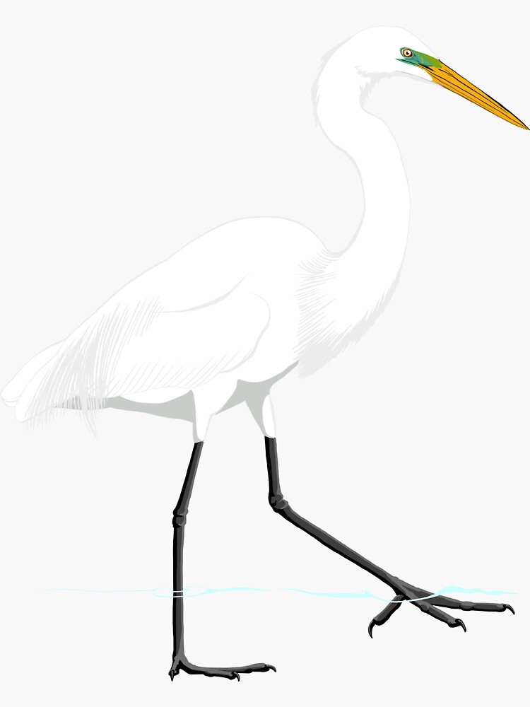 Great Egret by BennuBirdy