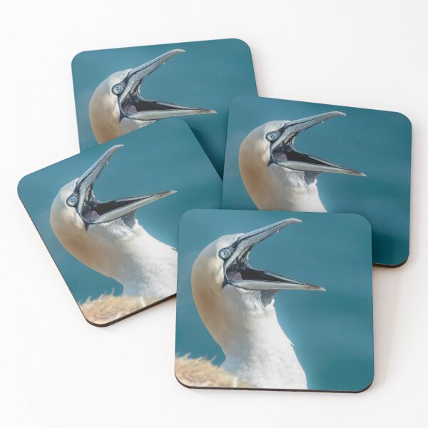 Item preview, Gannet designed and sold by Mike Cave.